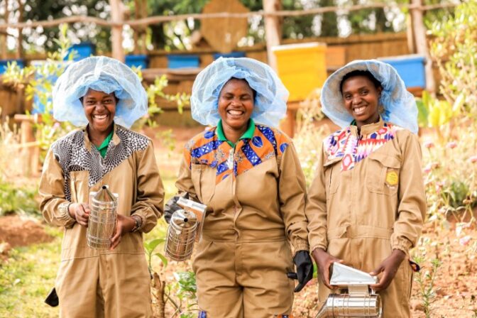En Janvier 2024, ouverture d’une nouvelle école apicole au Rwanda dédiée aux femmes fragilisées à qui nous dédions des formations afin de les former aux techniques modernes d’apiculture.