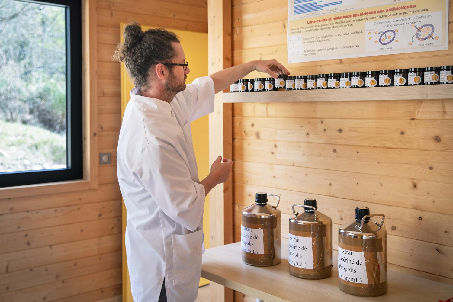 Étudier les activités anti bactériennes des propolis