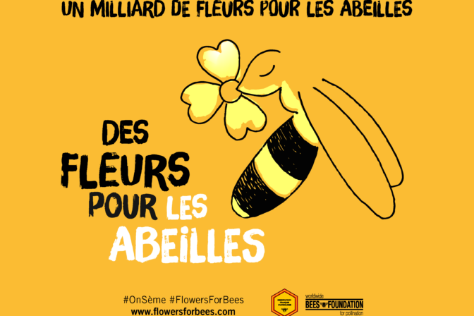 La 8ème édition de la campagne ‘Des Fleurs pour les Abeilles’ débute !