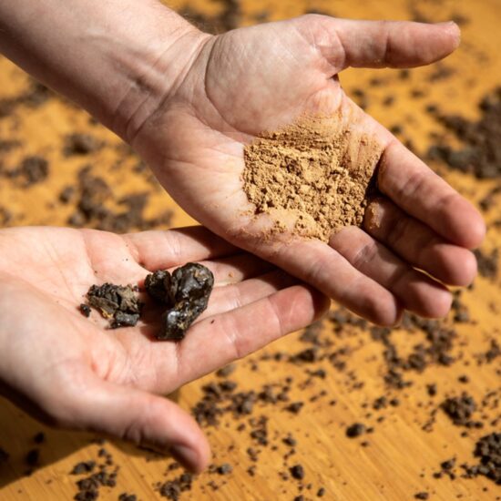 La propolis au service du végétal : une solution naturelle pour réduire les intrants chimiques en agriculture 3 Image3