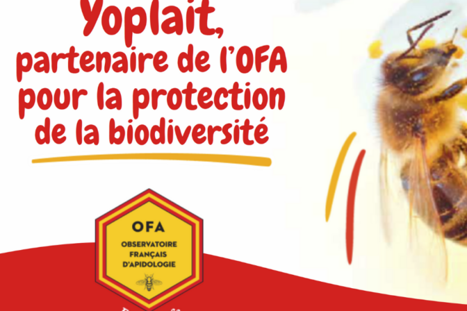 Depuis 7 ans, Yoplait collabore avec l’OFA pour préserver et renforcer la biodiversité, essentielle à la sauvegarde des abeilles.