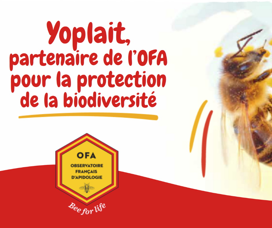 Depuis 7 ans, Yoplait collabore avec l’OFA pour préserver et renforcer la biodiversité, essentielle à la sauvegarde des abeilles.