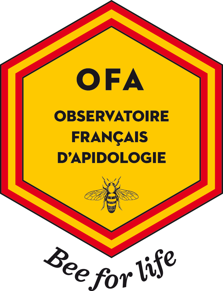 Ecoife Logo